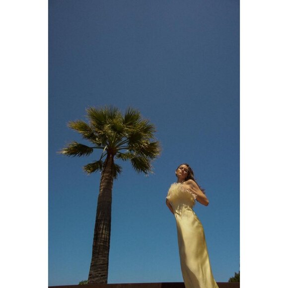 ZARA FEATHERED SATIN MIDI DRESS - Picture 2 of 5